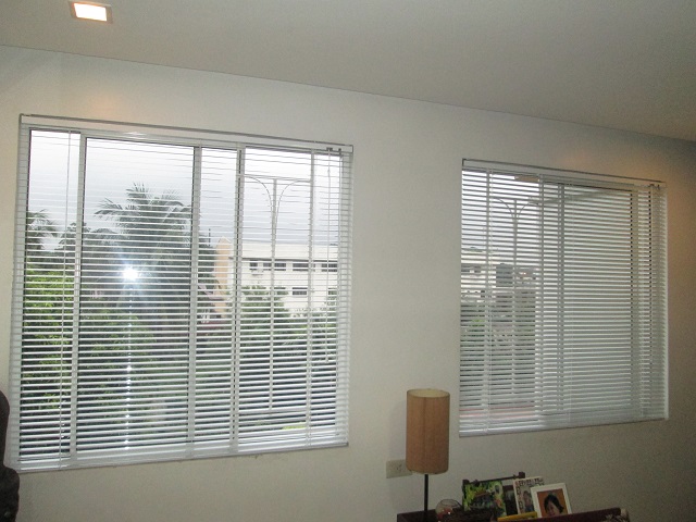 Mini Blinds and Its Clean Look and Affordable Price