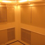 DS Windows & Walls Combi Blinds