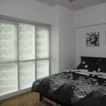 Roller Shades : F1003 Grey