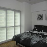 Roller Shades : F1003 Grey