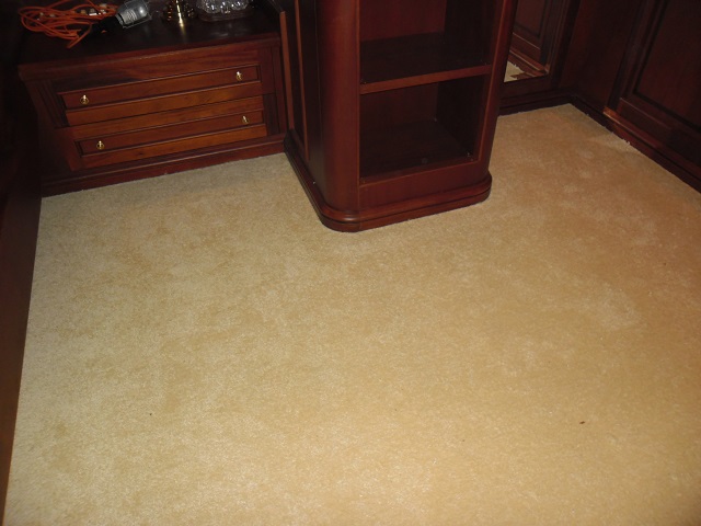Chic and Clean Look of Carpet Roll