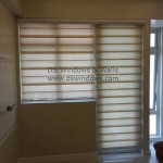 Combi Blinds