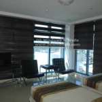 Unique Design of Combi Blinds for Window & Glass Wall