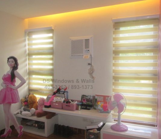 Fresh window shades beige color