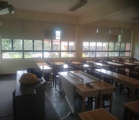 Blackout roller blinds classroom