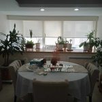 Roll-up-blinds-BGC-1