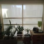 Roll-up-blinds-sunscreen-1