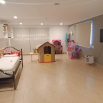 roller blinds playroom